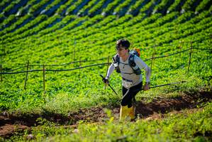 BIB: 
                            <button type="button" onclick="openModal(19160418)" class="btn btn-primary btn-sm float-right btn-popup" data-toggle="modal" data-target=".modal-high-quality">
                        <i class="fas fa-shopping-cart"></i> Add to Cart
                    </button>
                                            <button type="button" onclick="isThisMe(19160418, true)" class="btn btn-success btn-sm float-right btn-popup btn-isme hidden" data-toggle="tooltip" data-placement="bottom" title="นี่คือรูปของคุณใช่ไหม คลิกที่นี่เพื่อเอาเข้าอัลบั้ม">
                        <i class="fas fa-plus"></i> Add to album
                    </button>
                    <button type="button" onclick="isThisMe(19160418, false)" class="btn btn-warning btn-sm float-right btn-popup btn-isnotme hidden">
                        <i class="fas fa-ban"></i> Remove from album
                    </button>